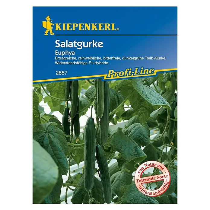 Kiepenkerl Profi-Line Gemüsesamen Salatgurke - Euphya, Cucumis sativus, Erntezeit: Juli - Vorderansicht