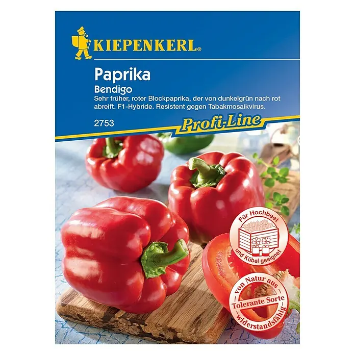 Kiepenkerl Profi-Line Gemüsesamen Blockpaprika - Bendigo, Capsicum annuum, Erntezeit: August - Vorderansicht