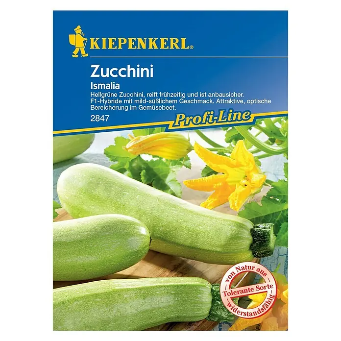 Kiepenkerl Profi-Line Gemüsesamen Zucchini - Ismalia, Cucurbita pepo, Erntezeit: Juli - Vorderansicht