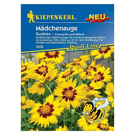 Kiepenkerl  Blumensamen Mädchenauge Sunkiss