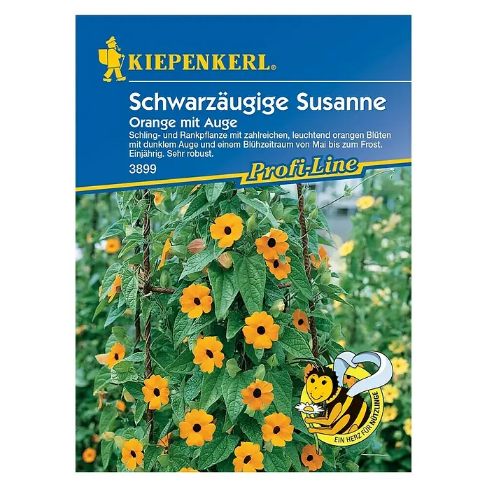Kiepenkerl Blumensamen Schwarzäugige Susanne Orange mit Auge - Thunbergia alata, Orange - Vorderansicht