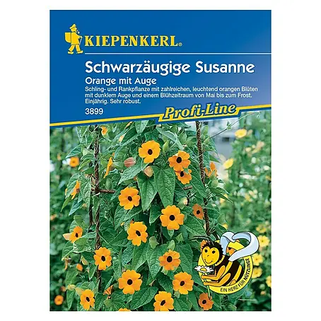 Kiepenkerl  Blumensamen Schwarzäugige Susanne Orange mit Auge