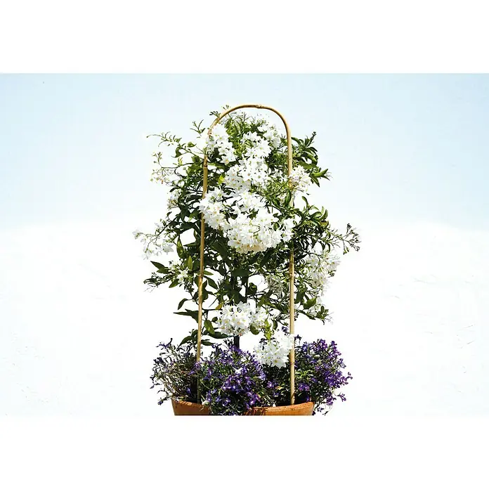 Floraworld Rankhilfe Bambus - 21 x 60 cm, Holz, Natur - Stimmungsaufnahme