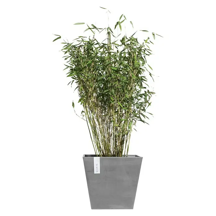 Ecopots Pflanzkasten Rotterdam - Außenmaß (L x B x H): 20 x 20 x 17,5 cm, Kunststoff, Grau - Anwendungsbeispiel