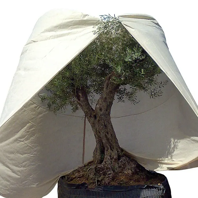 Videx Garden Winterschutzhaube Mediterran XXXL - Ø x H: 250 x 350 cm, Vlies, Beige - Detailaufnahme