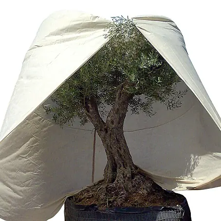 Videx Garden  Winterschutzhaube Mediterran XXXL