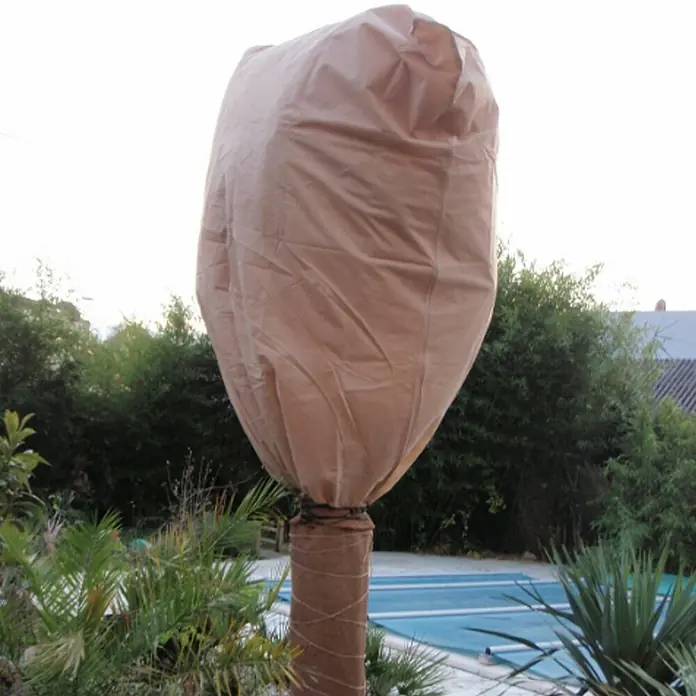Videx Garden Winterschutzhaube Mega - B x H: 120 x 180 cm, Vlies, Beige - Anwendungsbeispiel