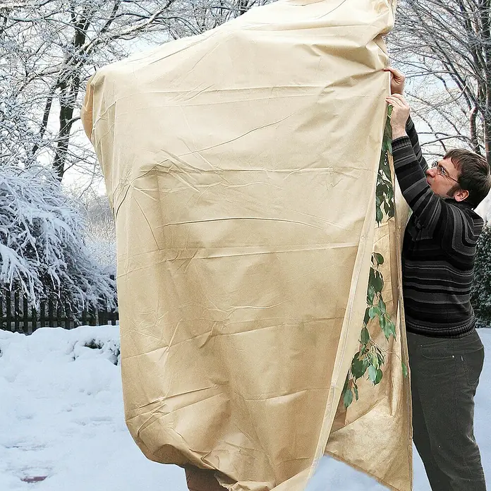 Videx Garden Winterschutzhaube Extreme - B x H: 120 x 180 cm, Vlies, Beige - Anwendungsbeispiel