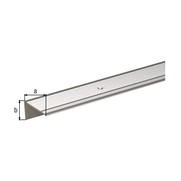 GAH Alberts Perfil angular - L x An x Al: 2.000 x 45 x 23 mm, Aluminio, Plateado
