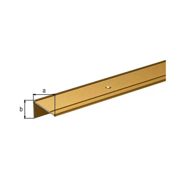 GAH Alberts Perfil angular - L x An x Al: 1.000 x 45 x 23 mm, Aluminio, Oro
