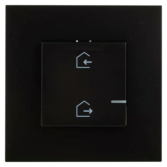 Legrand Valena Next with Netatmo Interruptor inalámbrico entrar/salir - 3.680 W, 200 m - Vista frontal
