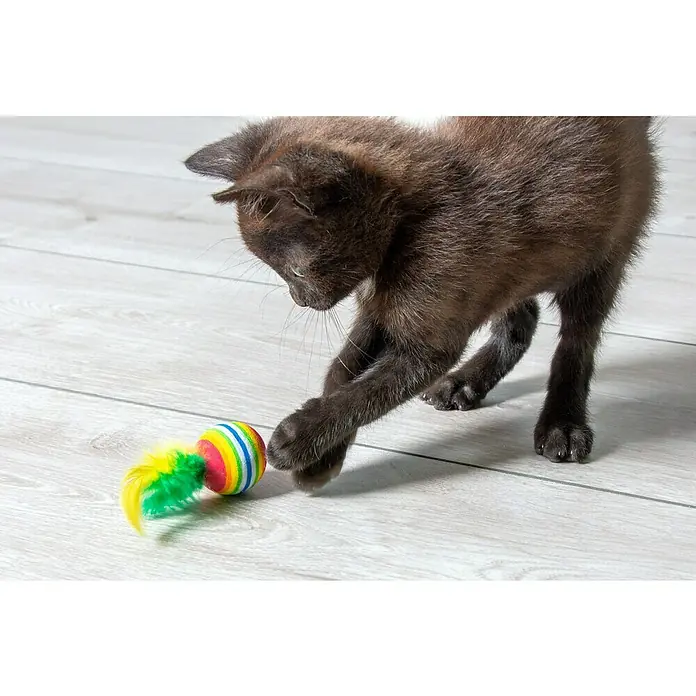 Karlie Kattenspeelgoed Regenboog - Foam rubber, 4 st. - Toepassingsvoorbeeld