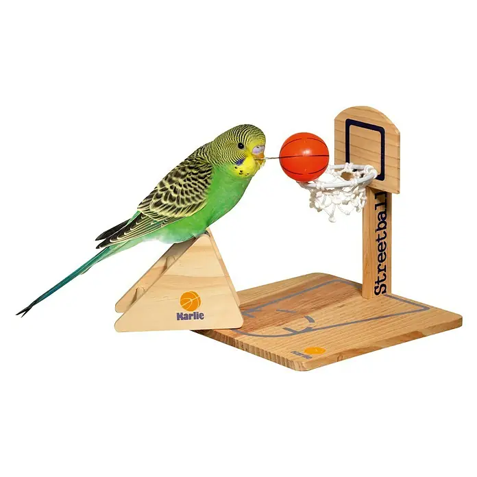 Karlie Vogelspeelgoed Streetball - Geschikt voor: Parkieten, Hout - Toepassingsvoorbeeld