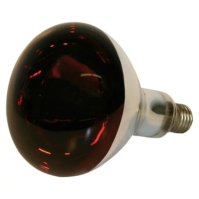 Kerbl Infrarotwärmelampe - 150 W, Lampenfassung: E27 - Diagonale Ansicht