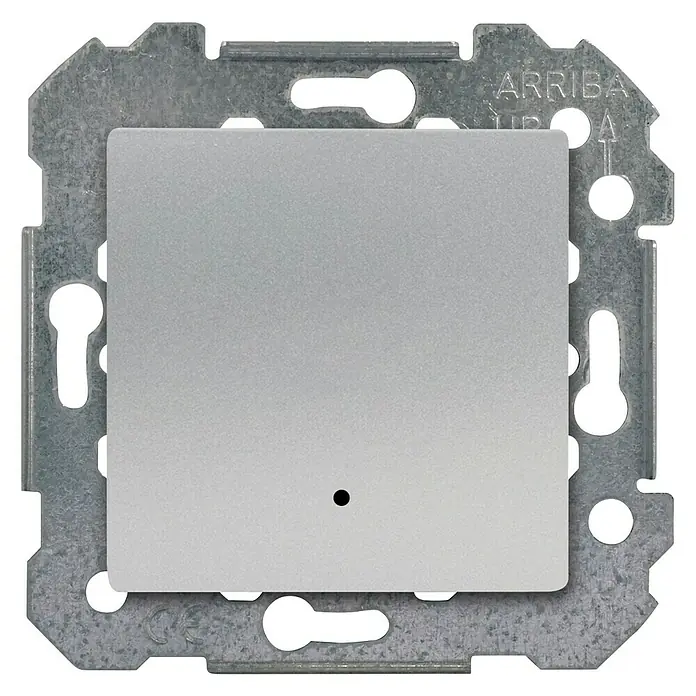 BJC Viva Conmutador con luz - Plateado, Montaje en la pared, 10 AX - Vista frontal