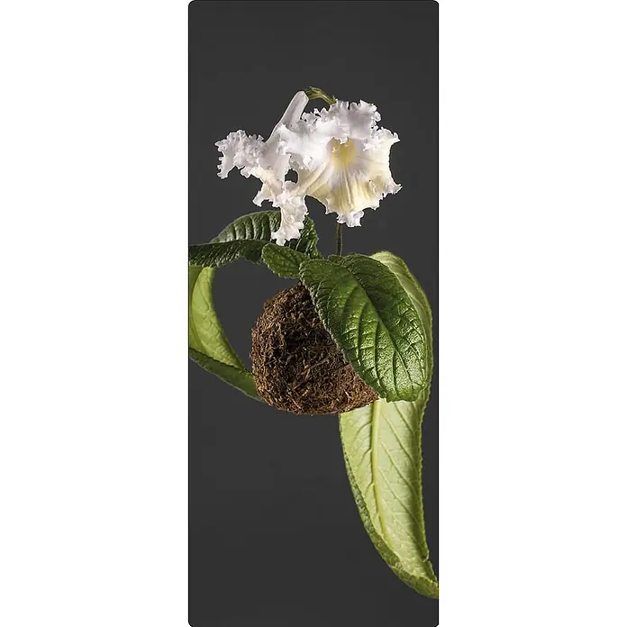 SanDesign Handmuster Flowers - 17,5 cm x 7 cm x 8 mm, Bäume & Pflanzen - Draufsicht