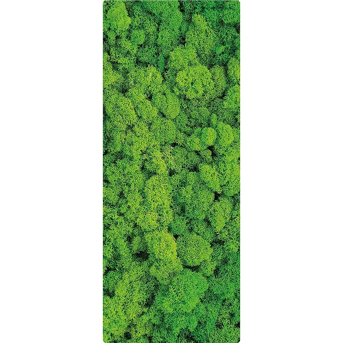 SanDesign Handmuster Flower Moss - 17,5 cm x 7 cm x 8 mm, Bäume & Pflanzen - Draufsicht