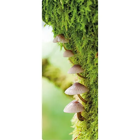 SanDesign  Handmuster Vegetation