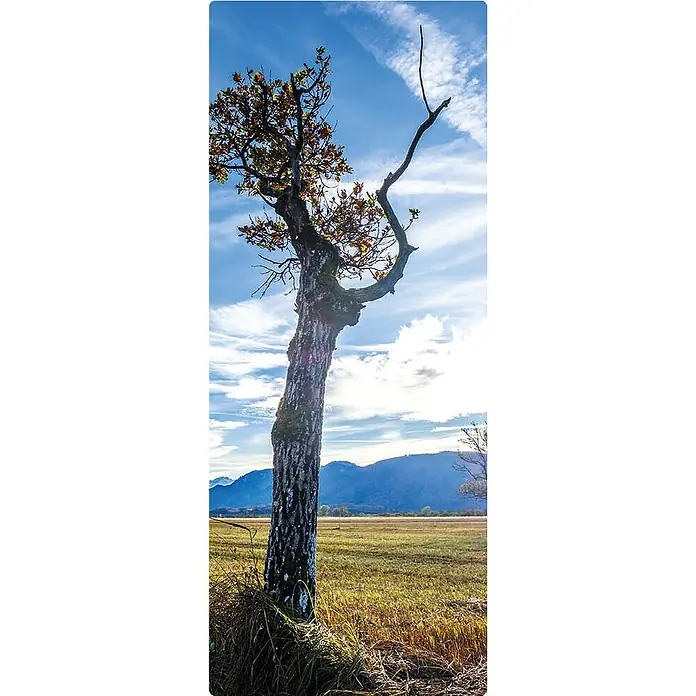 SanDesign Handmuster Loneley Tree - 17,5 cm x 7 cm x 8 mm, Bäume & Pflanzen - Draufsicht