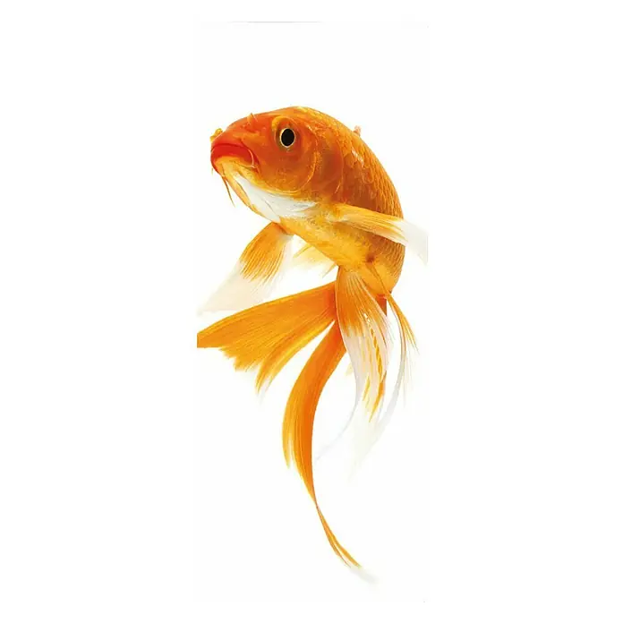SanDesign Handmuster Goldfish - 17,5 cm x 7 cm x 8 mm, Tiere - Draufsicht