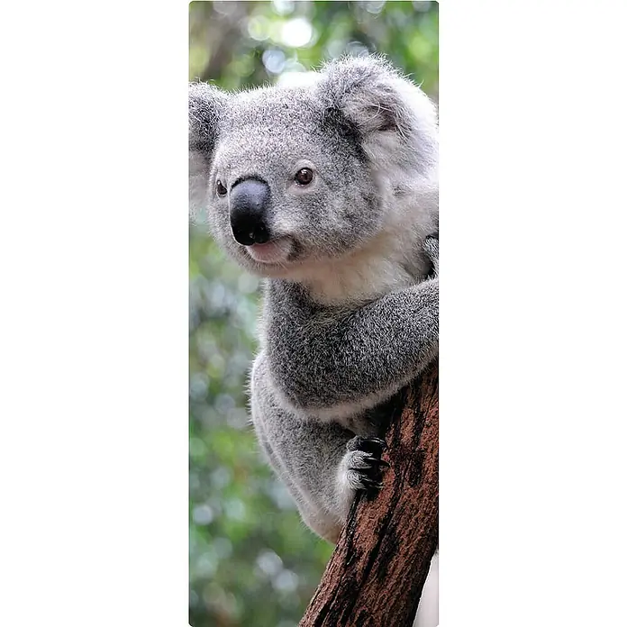 SanDesign Handmuster - 17,5 cm x 7 cm x 3 mm, Cute Koala - Draufsicht