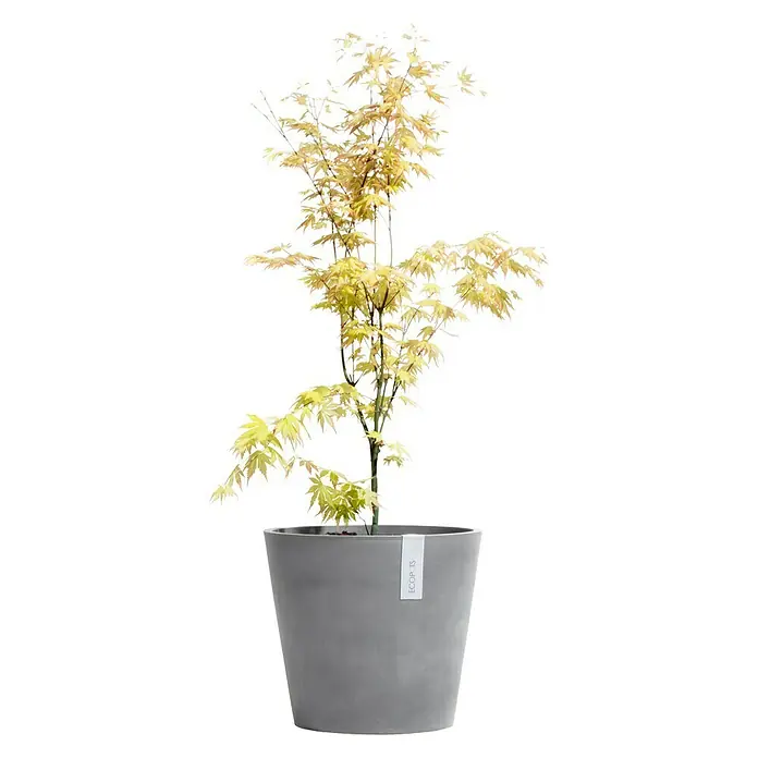 Ecopots Amsterdam Pflanztopf Amsterdam - Außenmaß (Ø x H): 20 x 17,5 cm, Kunststoff, Grau - Vorderansicht