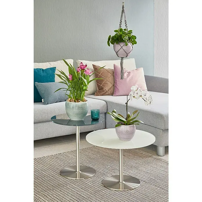 Soendgen Keramik Übertopf rund Manacor Deluxe - Außenmaß (Ø x H): 16 x 13 cm, Salbei, Keramik - Stimmungsaufnahme