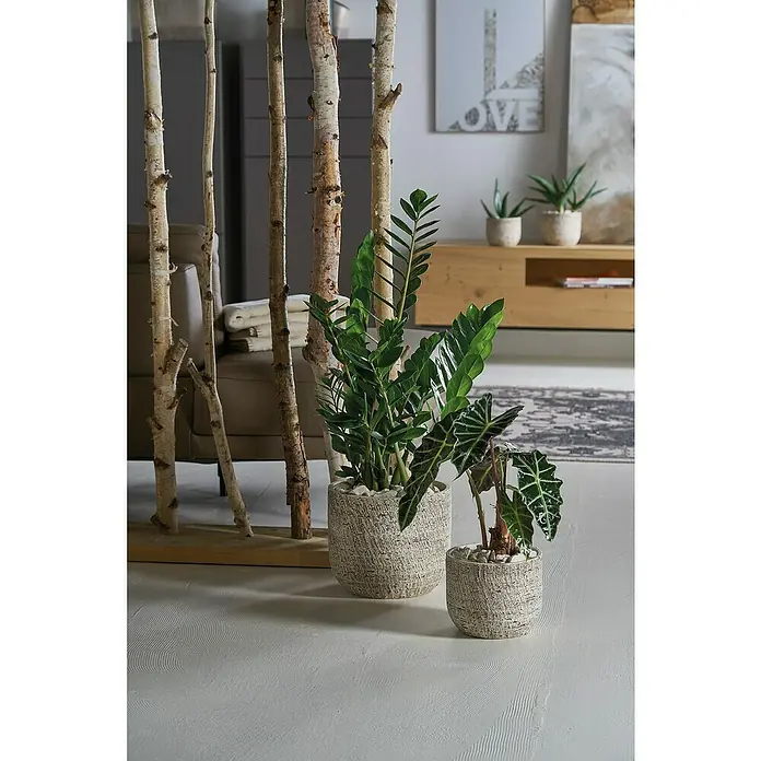 Soendgen Keramik Übertopf rund Portland - Außenmaß (Ø x H): 18 x 16 cm, Dunkelbraun gewischt, Keramik - Stimmungsaufnahme