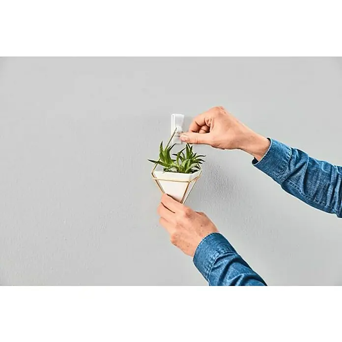 Tesa Gancho autoadhesivo - Apto para: Papel pintado, Carga soportada: 0,5 kg, Blanco, 2 uds. - Producto en uso