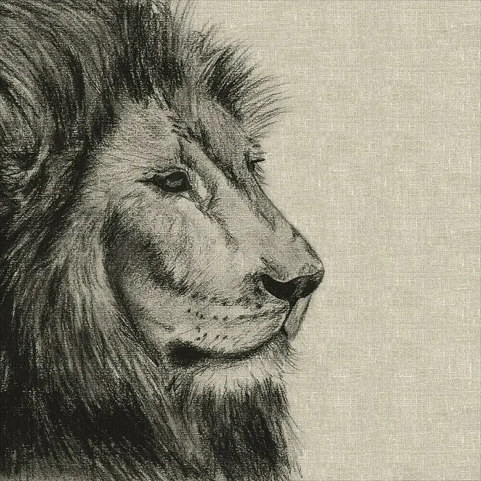 Cojín León - Natural, 45 x 45 cm, 50 % algodón, 50 % poliéster - Primer plano