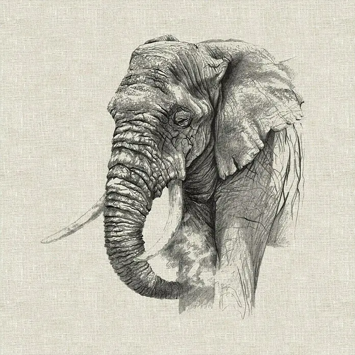 Cojín Elefante - Natural, 45 x 45 cm, 50 % algodón, 50 % poliéster - Primer plano