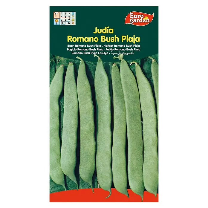 Euro Garden Semillas de vegetales Judía Romano Bush Plaja - Cosecha: Junio - Vista frontal