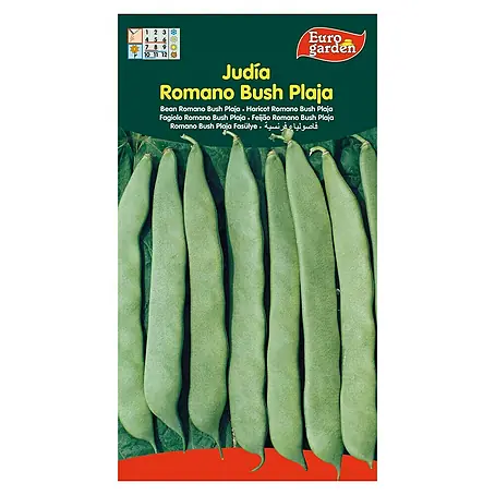 Euro Garden  Semillas de vegetales Judía Romano Bush Plaja