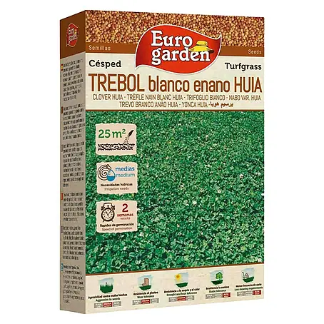 Euro Garden  Semillas de césped Trébol blanco