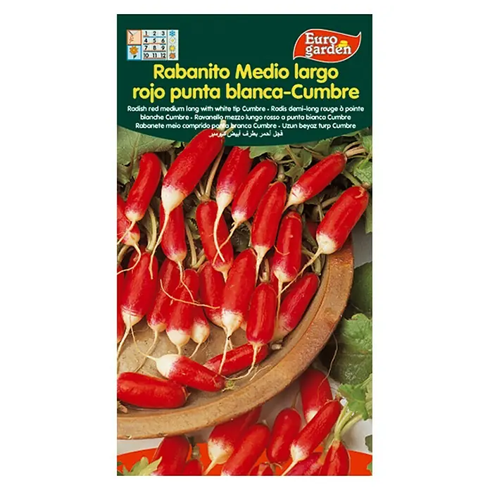 Euro Garden Semillas de vegetales Rabanito largo de punta blanca - Cosecha: Durante todo el año - Vista frontal