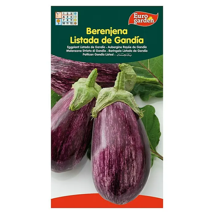 Euro Garden Semillas de vegetales Berenjena listada de Gandía - Cosecha: Junio - Vista frontal