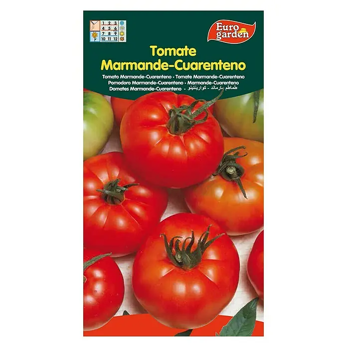 Euro Garden Semillas de vegetales Tomate marmande - Cosecha: Junio - Vista frontal