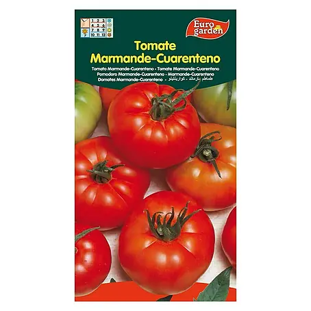 Euro Garden  Semillas de vegetales Tomate marmande