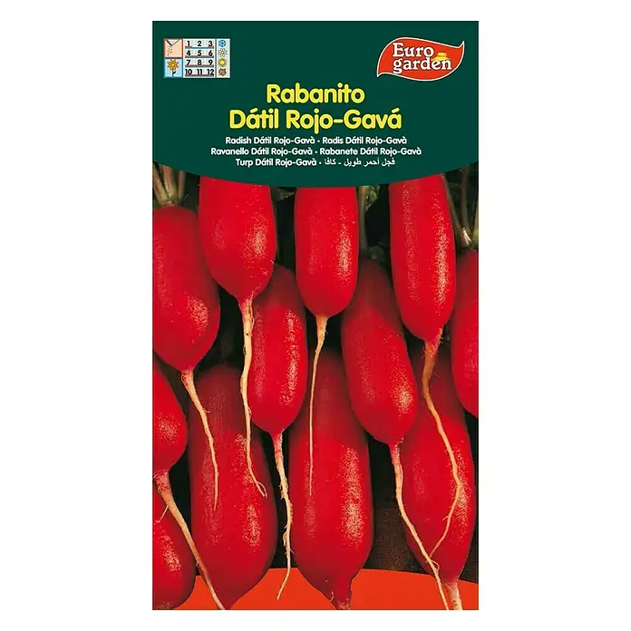Euro Garden Semillas de vegetales Rabanito dátil rojo Gavá - Cosecha: Durante todo el año - Vista frontal