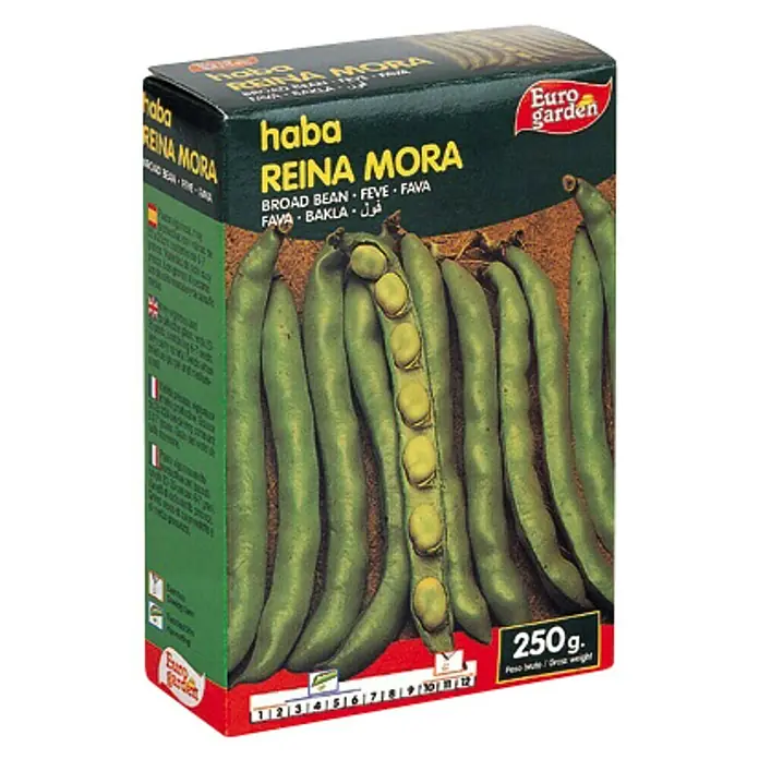 Euro Garden Semillas de vegetales Haba reina mora - Cosecha: Marzo - Vista angular