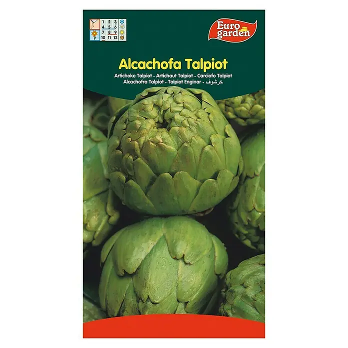 Euro Garden Semillas de vegetales Alcachofa talpiot - Cosecha: Febrero - Vista frontal