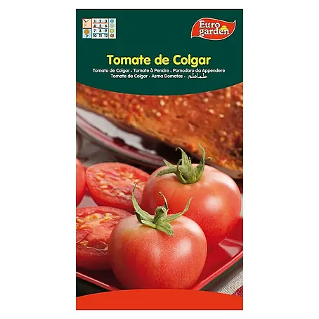 Euro Garden  Semillas de vegetales Tomate haengen