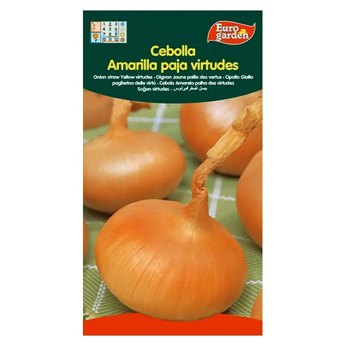 Euro Garden Bulbos de cebolla Amarilla Paja Virtudes - Cosecha: Julio, 5 g - Vista frontal