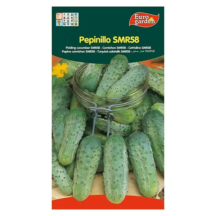 Euro Garden Semillas de vegetales Pepino SMR58 - Cosecha: Junio - Vista frontal