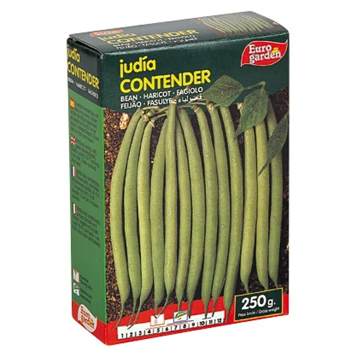 Euro Garden Semillas de vegetales Judía Contender - Cosecha: Junio - Vista angular