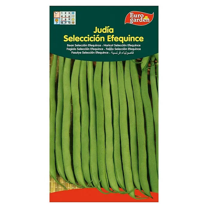 Euro Garden Semillas de vegetales Judía Efequince - Cosecha: Junio - Vista frontal
