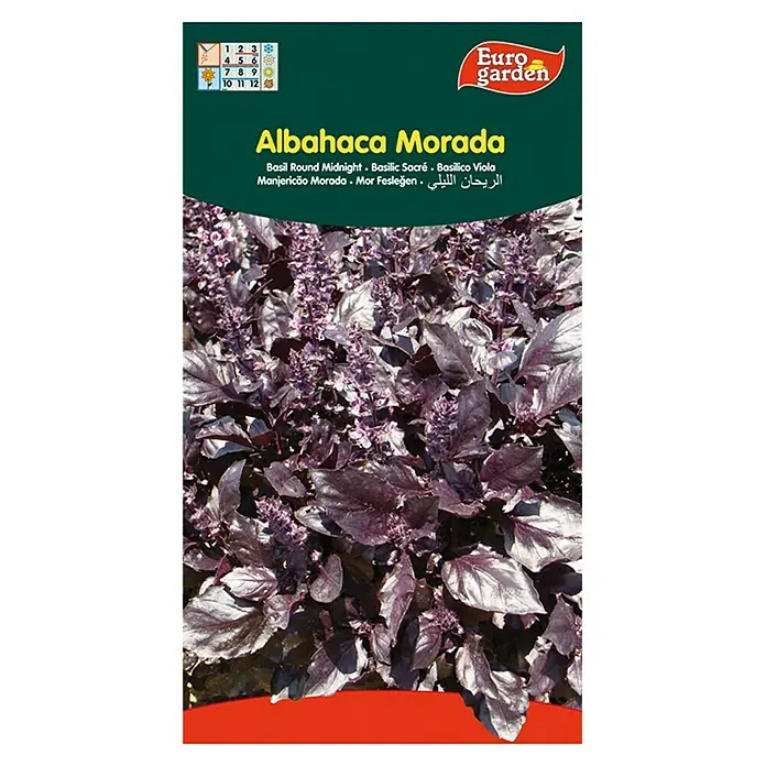 Euro Garden Semillas de hierbas Albahaca morada - Tiempo de siembra: Abril, Cosecha: Junio - Vista frontal