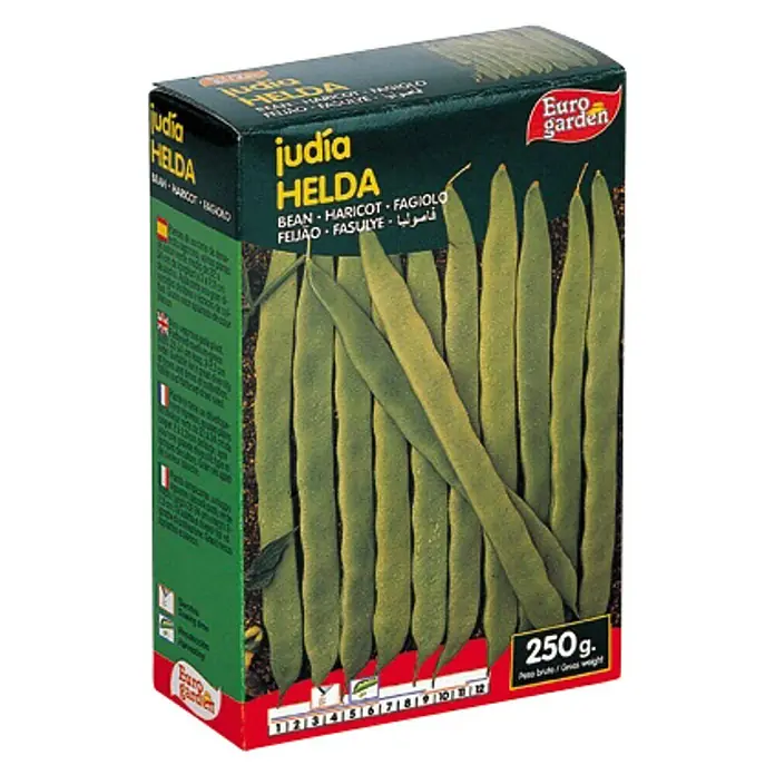 Euro Garden Semillas de vegetales Judía Helda - Cosecha: Junio - Vista angular