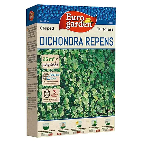 Euro Garden  Dichondra repens