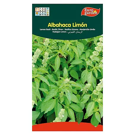Euro Garden  Semillas de hierbas Albahaca limón